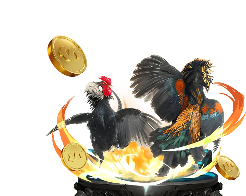 Tổng quan nền tảng AA888